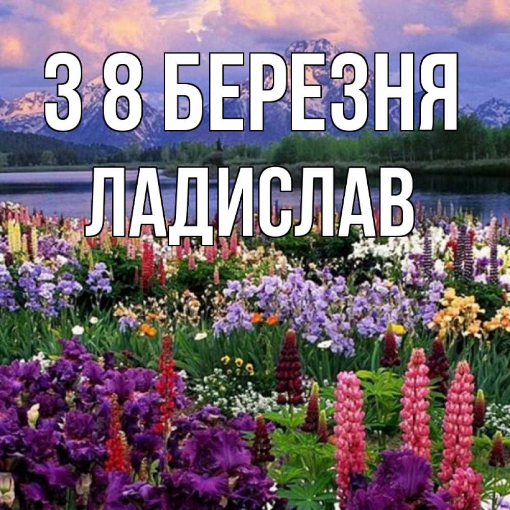 Открытка на каждый день з підписом, Ладислав З 8 БЕРЕЗНЯ международный женский день Прикольна листівка з побажанням онлайн скачати безкоштовно 
