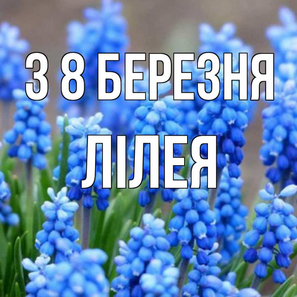 Открытка на каждый день з підписом, Лілея З 8 БЕРЕЗНЯ Поздравительная открытка для женщин с цветами на праздничную дату Прикольна листівка з побажанням онлайн скачати безкоштовно 