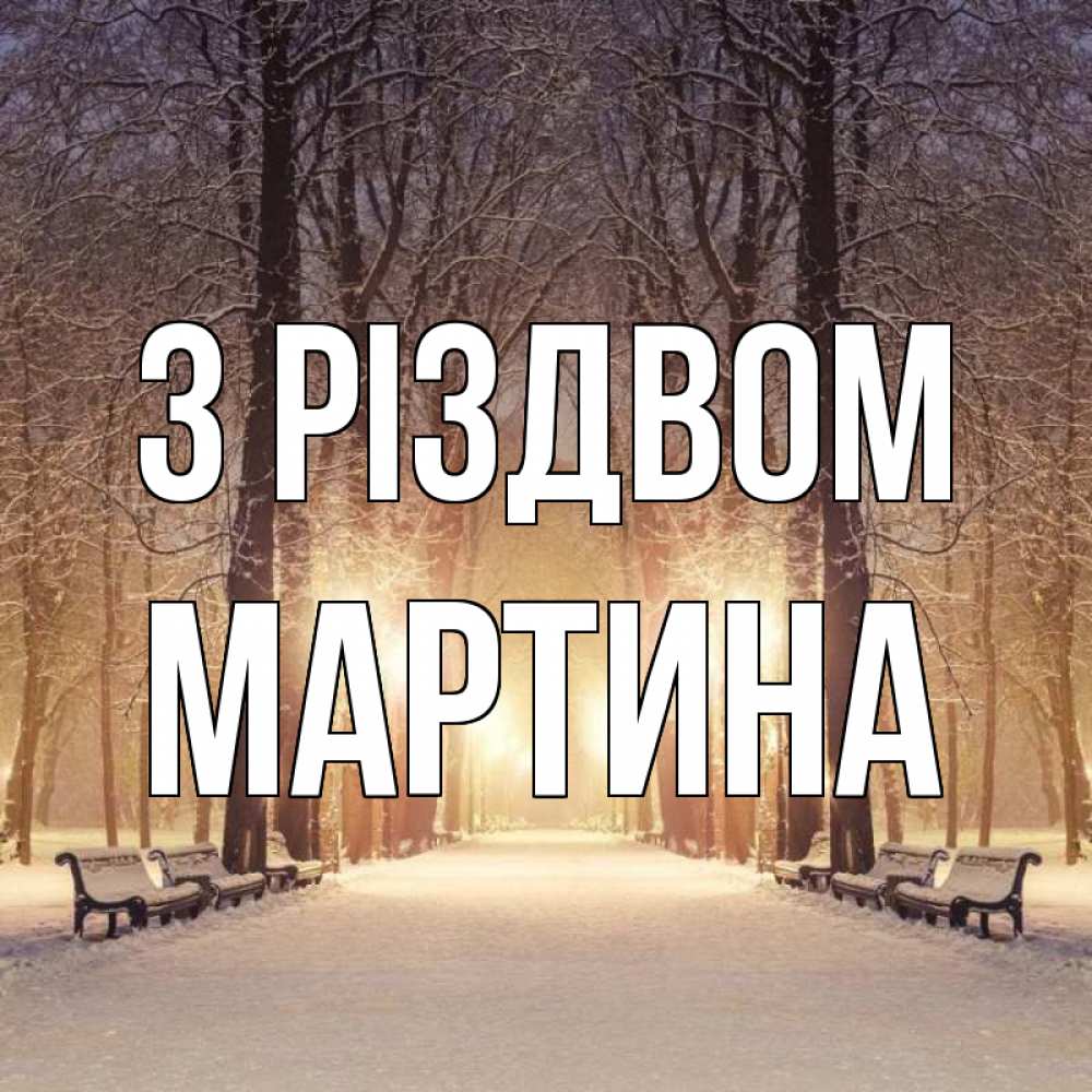 Открытка на каждый день з підписом, Мартина З Різдвом зима, парк, фонарь, лес Прикольна листівка з побажанням онлайн скачати безкоштовно 