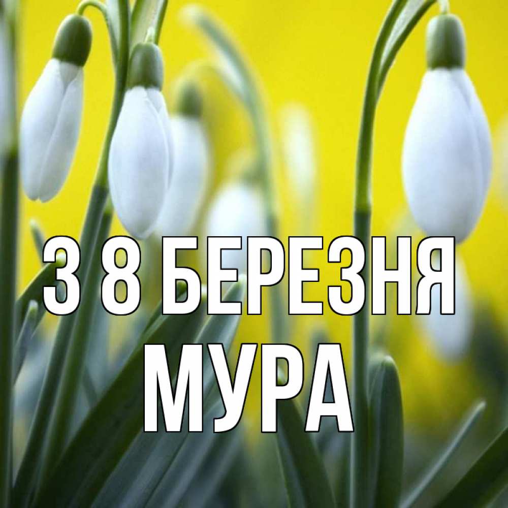 Открытка на каждый день з підписом, Мура З 8 БЕРЕЗНЯ весенние цветы Прикольна листівка з побажанням онлайн скачати безкоштовно 