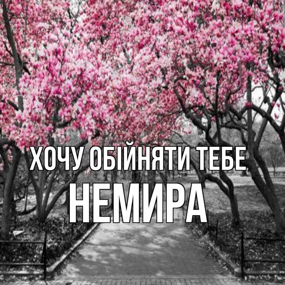 Открытка на каждый день з підписом, Немира Хочу обійняти тебе обработанное фото Прикольна листівка з побажанням онлайн скачати безкоштовно 