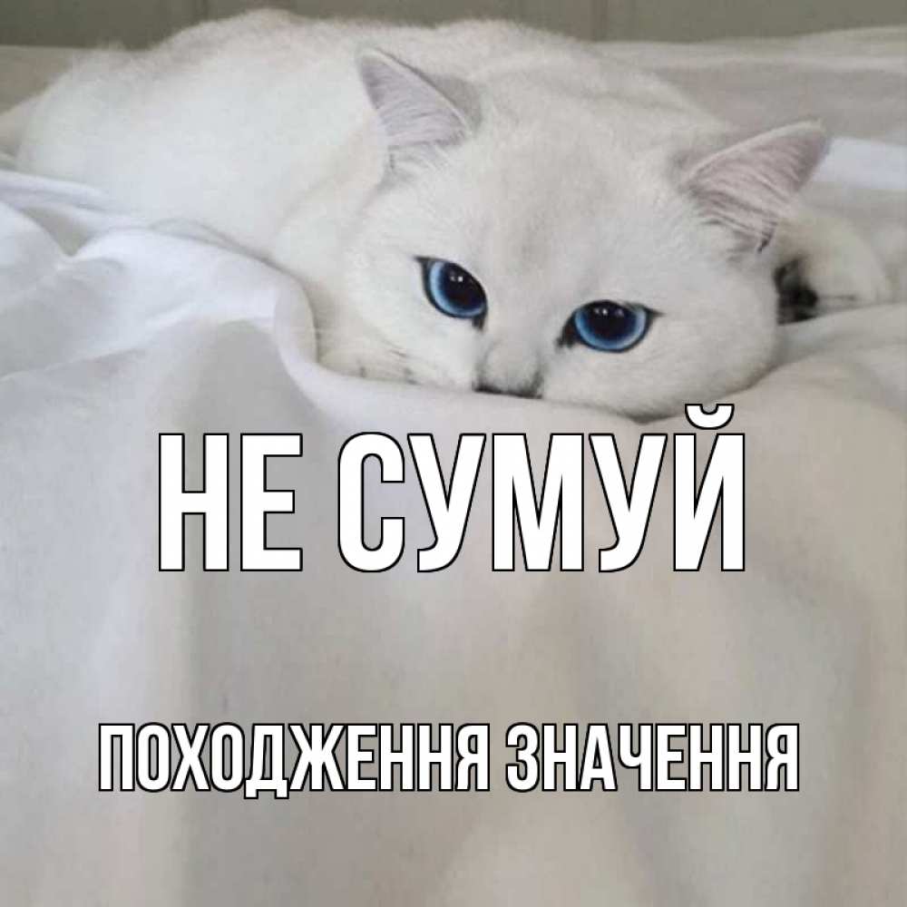 Открытка на каждый день з підписом, Походження,-значення Не сумуй белый кот с голубыми глазами на белоснежной кровати Прикольна листівка з побажанням онлайн скачати безкоштовно 