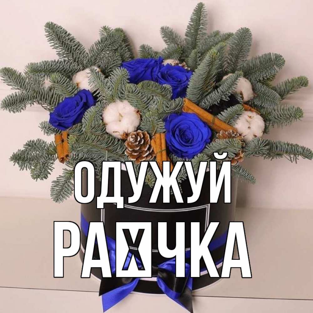 Открытка на каждый день з підписом, Раєчка Одужуй короче кто то загрузил эти шишки Прикольна листівка з побажанням онлайн скачати безкоштовно 