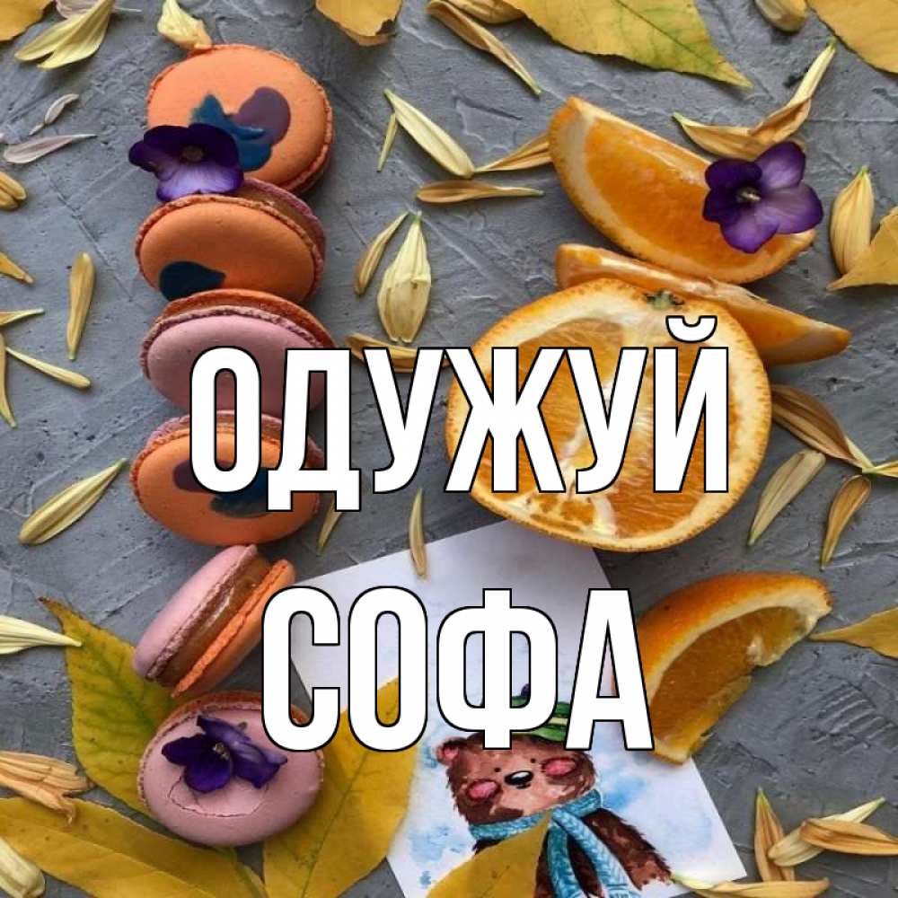 Открытка на каждый день з підписом, Софа Одужуй не болейте Прикольна листівка з побажанням онлайн скачати безкоштовно 