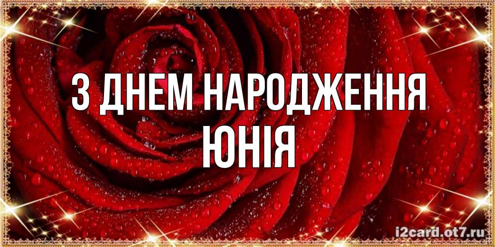 Открытка на каждый день з підписом, Юнія З Днем народження роса на розе блестящая в лучах солнца Прикольна листівка з побажанням онлайн скачати безкоштовно 