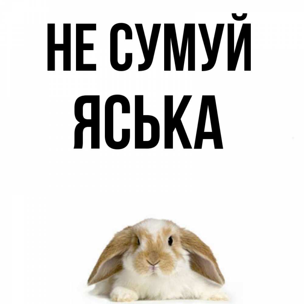 Открытка на каждый день з підписом, Яська Не сумуй коричнево белый заяц с большими ушками Прикольна листівка з побажанням онлайн скачати безкоштовно 