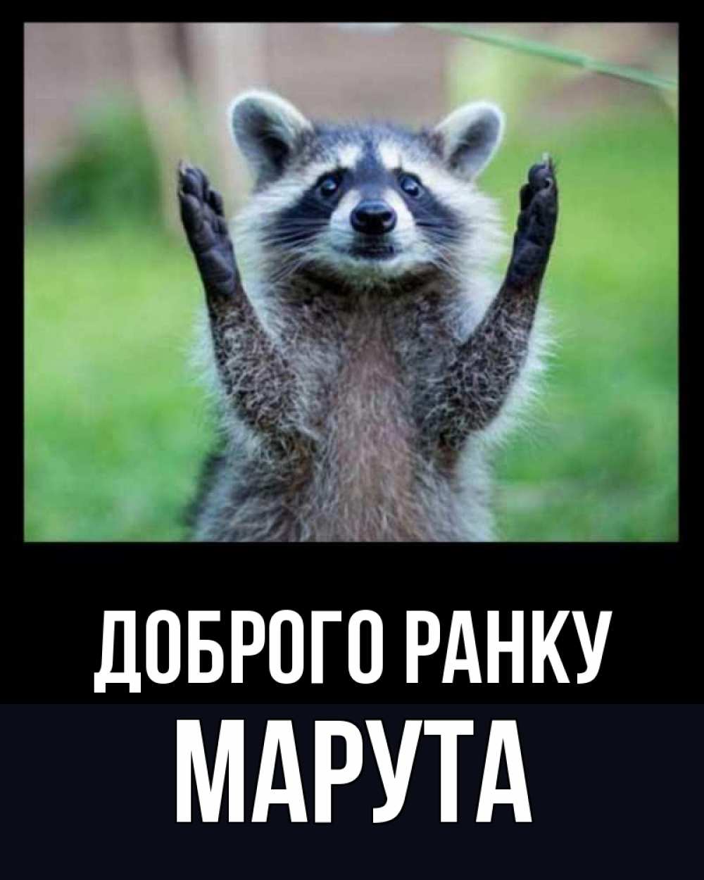 Открытка на каждый день з підписом, Марута Доброго ранку хорошее настроение утречком Прикольна листівка з побажанням онлайн скачати безкоштовно 