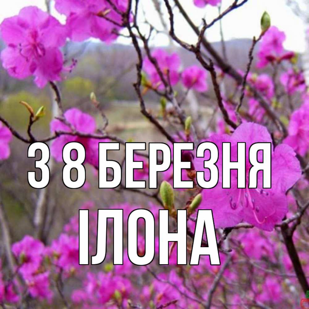 Открытка на каждый день з підписом, Ілона З 8 БЕРЕЗНЯ международный женский день Прикольна листівка з побажанням онлайн скачати безкоштовно 