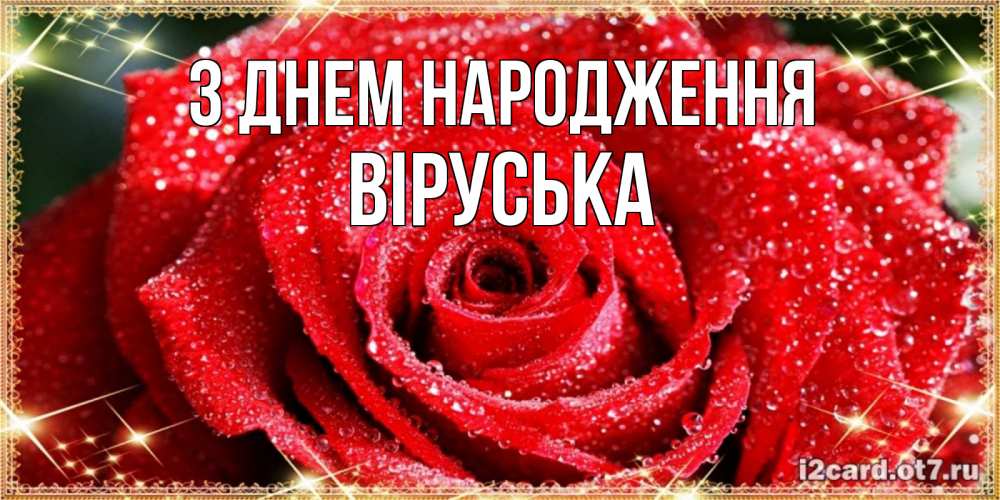 Открытка на каждый день з підписом, Віруська З Днем народження роса и роза. открытка с красивой розой Прикольна листівка з побажанням онлайн скачати безкоштовно 