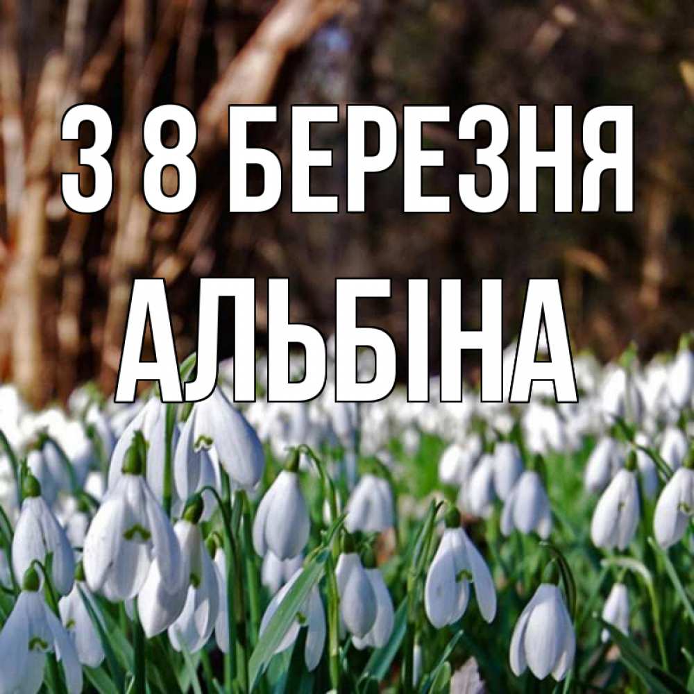 Открытка на каждый день з підписом, Альбіна З 8 БЕРЕЗНЯ с подснежниками 1 Прикольна листівка з побажанням онлайн скачати безкоштовно 