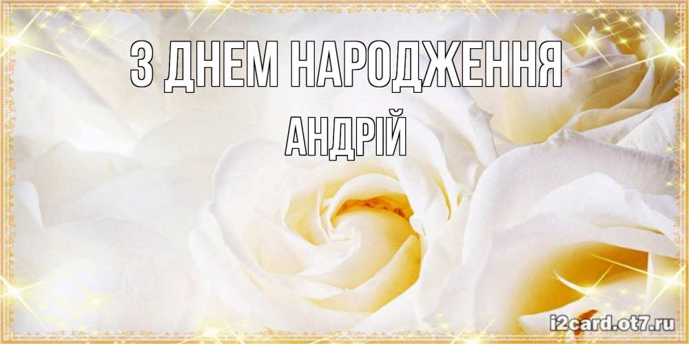 Открытка на каждый день з підписом, Андрій З Днем народження красивые розы и капли росы на этих чудесных цветах Прикольна листівка з побажанням онлайн скачати безкоштовно 