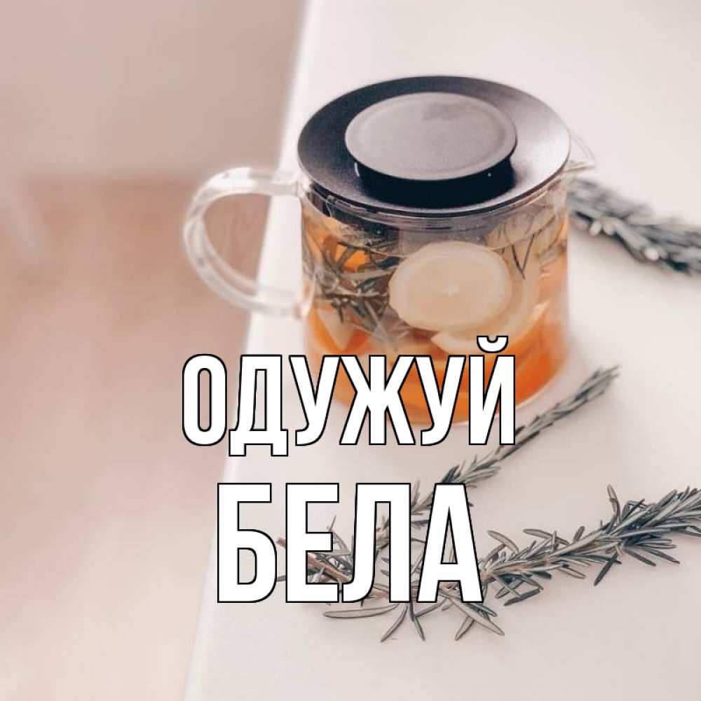 Открытка на каждый день з підписом, Бела Одужуй ну вы там держитесь Прикольна листівка з побажанням онлайн скачати безкоштовно 