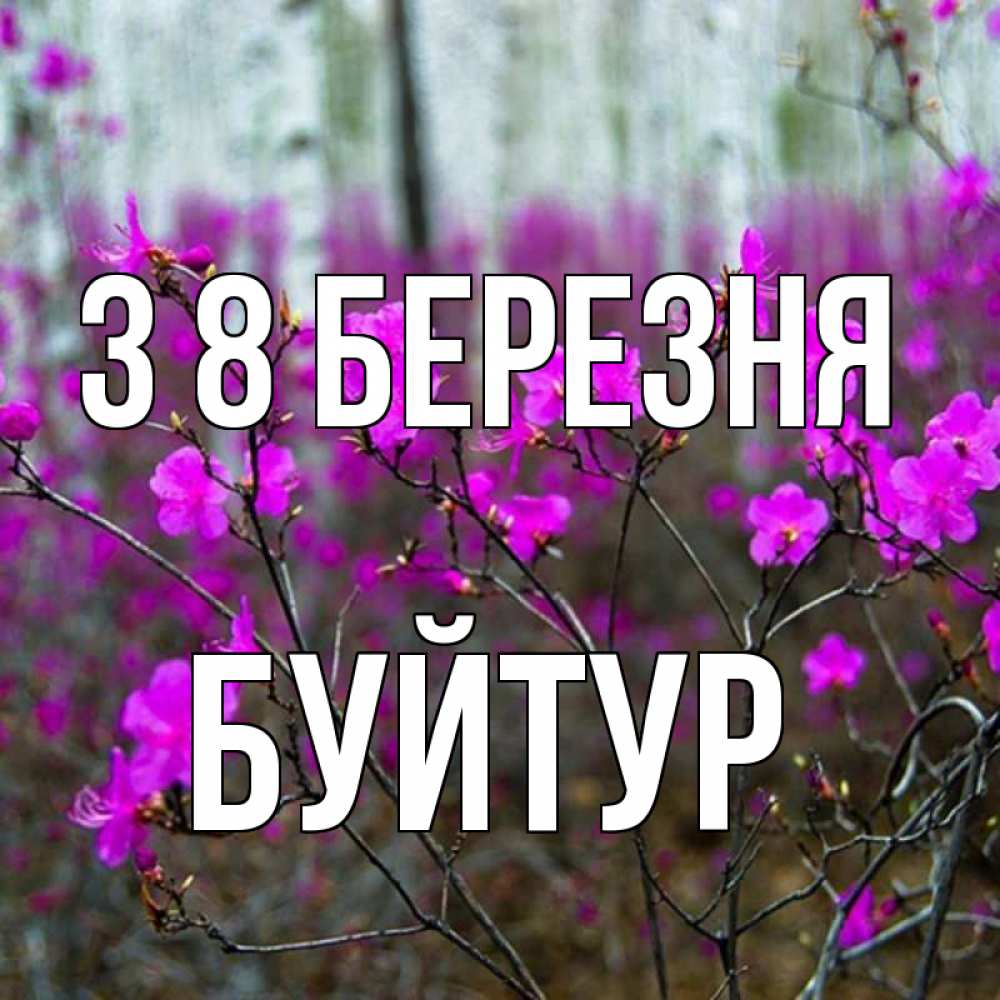 Открытка на каждый день з підписом, Буйтур З 8 БЕРЕЗНЯ дикие цветы Прикольна листівка з побажанням онлайн скачати безкоштовно 