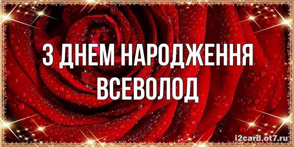 Открытка на каждый день з підписом, Всеволод З Днем народження роса на розе блестящая в лучах солнца Прикольна листівка з побажанням онлайн скачати безкоштовно 