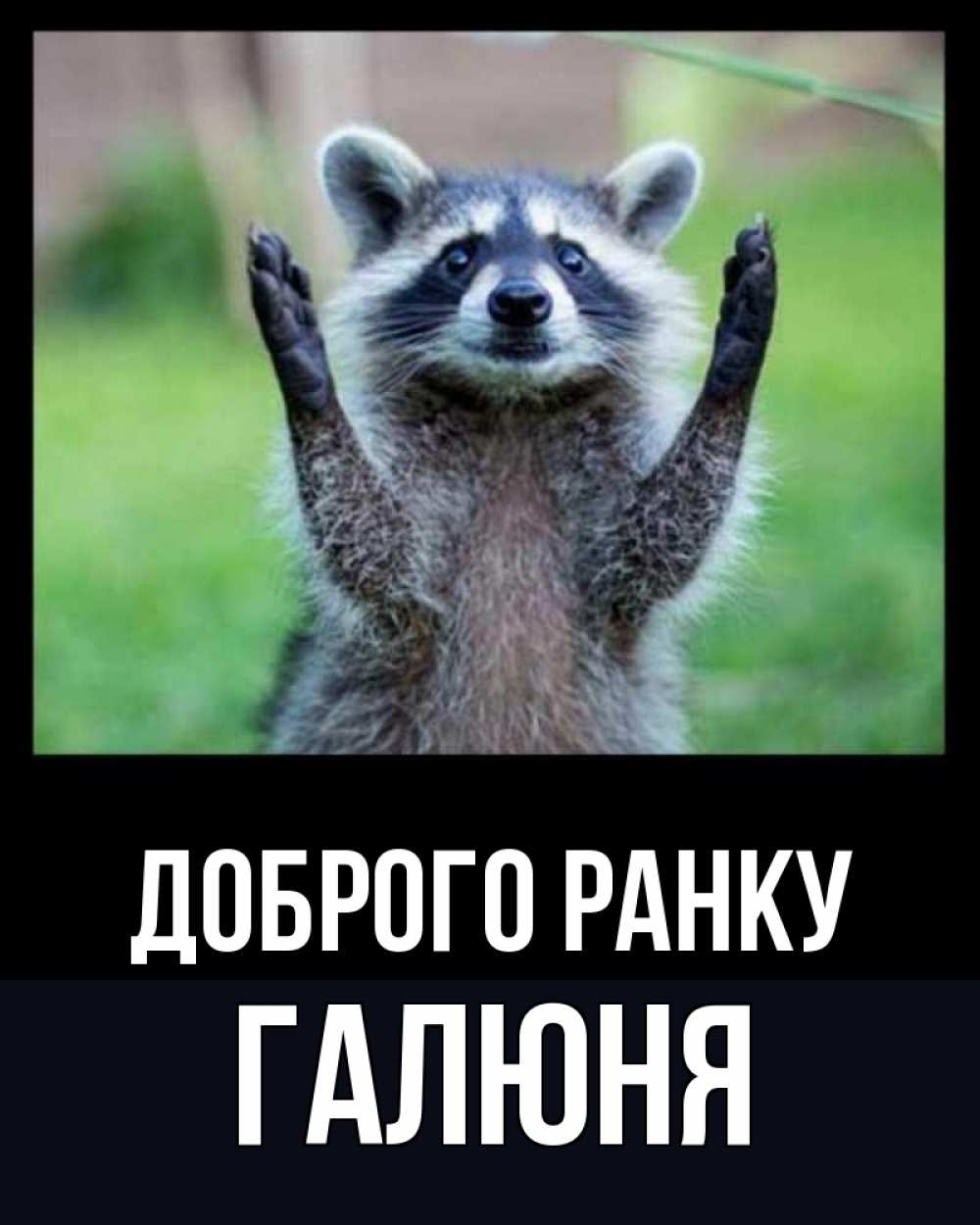 Открытка на каждый день з підписом, Галюня Доброго ранку хорошее настроение утречком Прикольна листівка з побажанням онлайн скачати безкоштовно 
