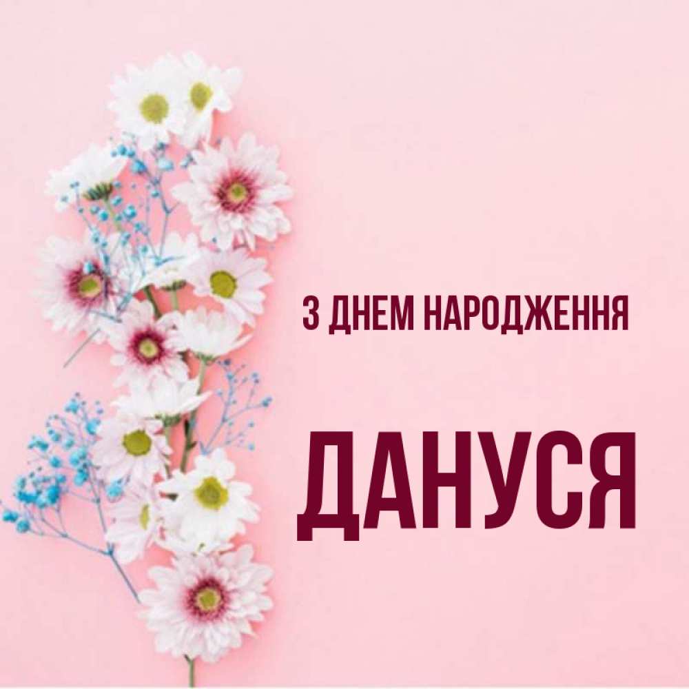 Открытка на каждый день з підписом, Дануся З Днем народження Родная моя с днем рождения тебя картинка с цветами белыми и голубыми Прикольна листівка з побажанням онлайн скачати безкоштовно 