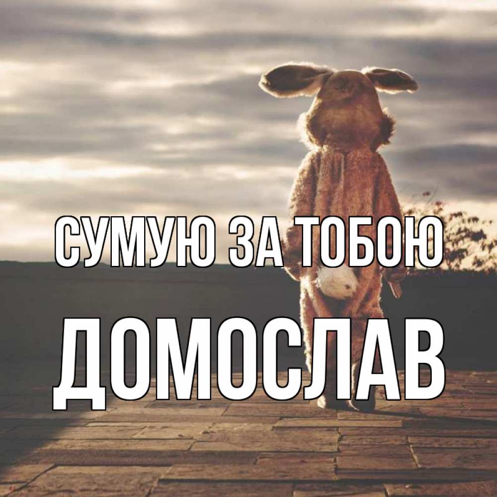 Открытка на каждый день з підписом, Домослав Сумую за тобою даже в костюме зайца Прикольна листівка з побажанням онлайн скачати безкоштовно 