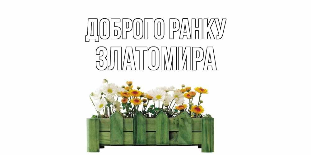 Открытка на каждый день з підписом, Златомира Доброго ранку цветы Прикольна листівка з побажанням онлайн скачати безкоштовно 
