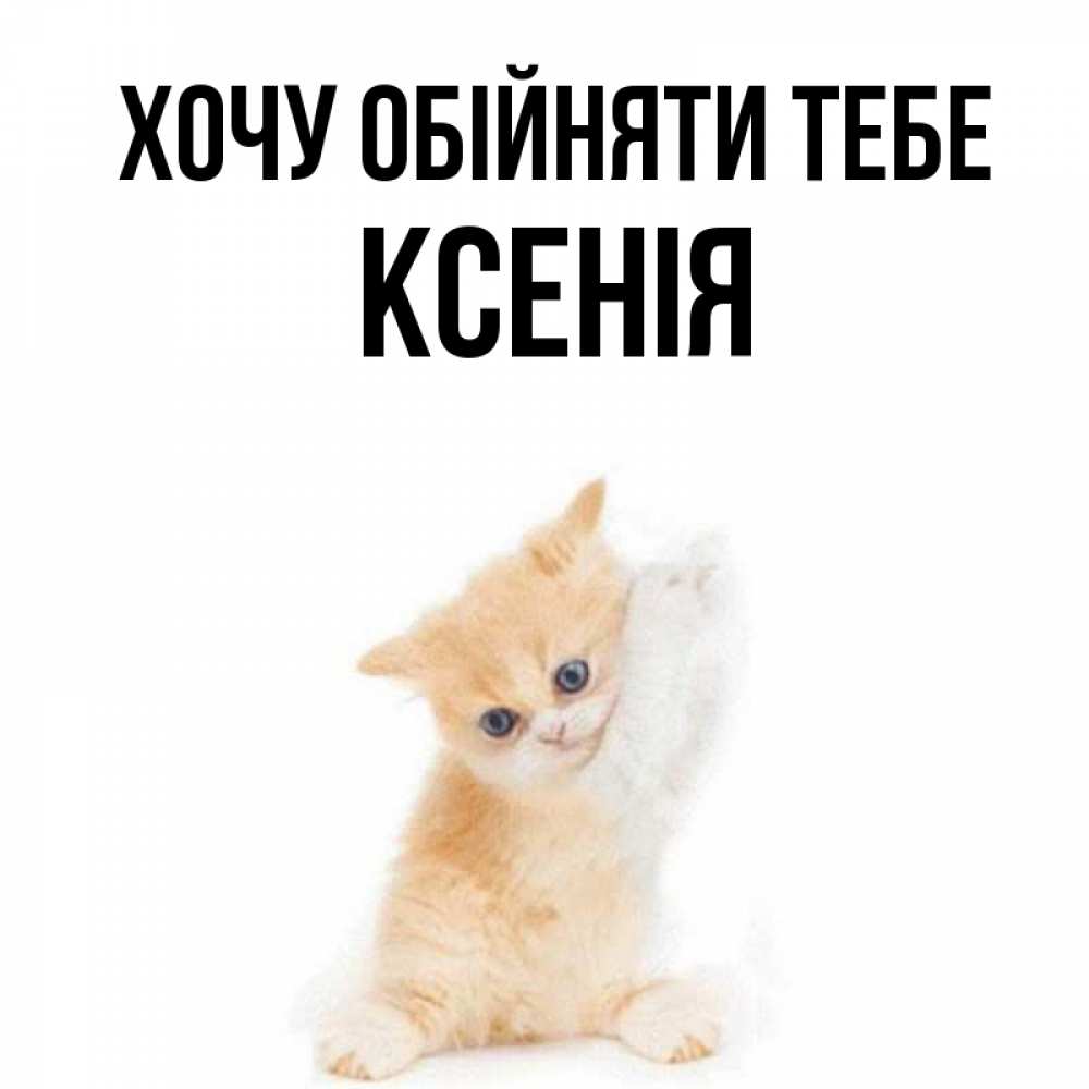 Открытка на каждый день з підписом, Ксенія Хочу обійняти тебе я хочу очень скорее обнимаешек Прикольна листівка з побажанням онлайн скачати безкоштовно 