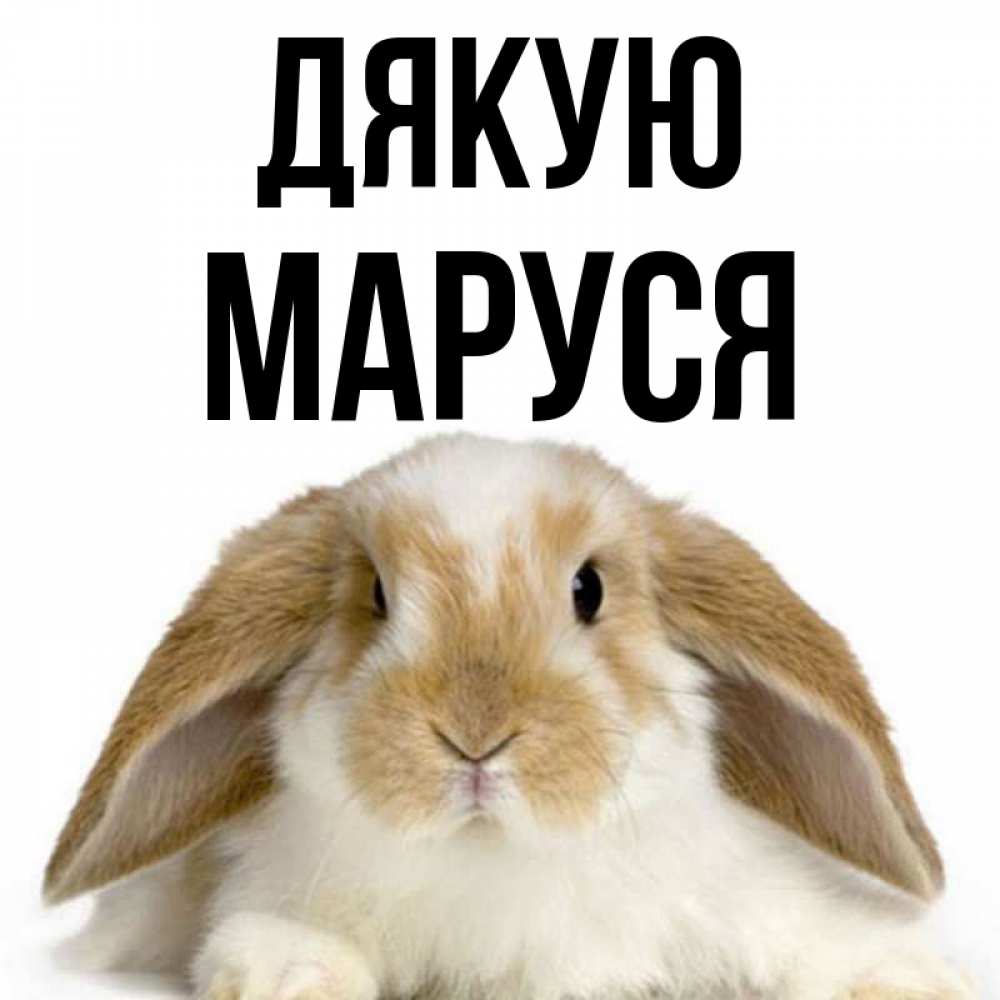 Открытка на каждый день з підписом, Маруся Дякую коричнево белый заяц Прикольна листівка з побажанням онлайн скачати безкоштовно 