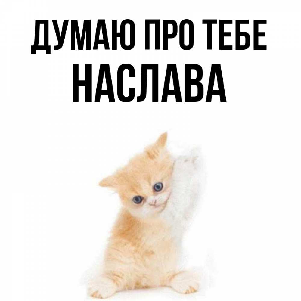 Открытка на каждый день з підписом, Наслава Думаю про тебе зверушки и милота Прикольна листівка з побажанням онлайн скачати безкоштовно 