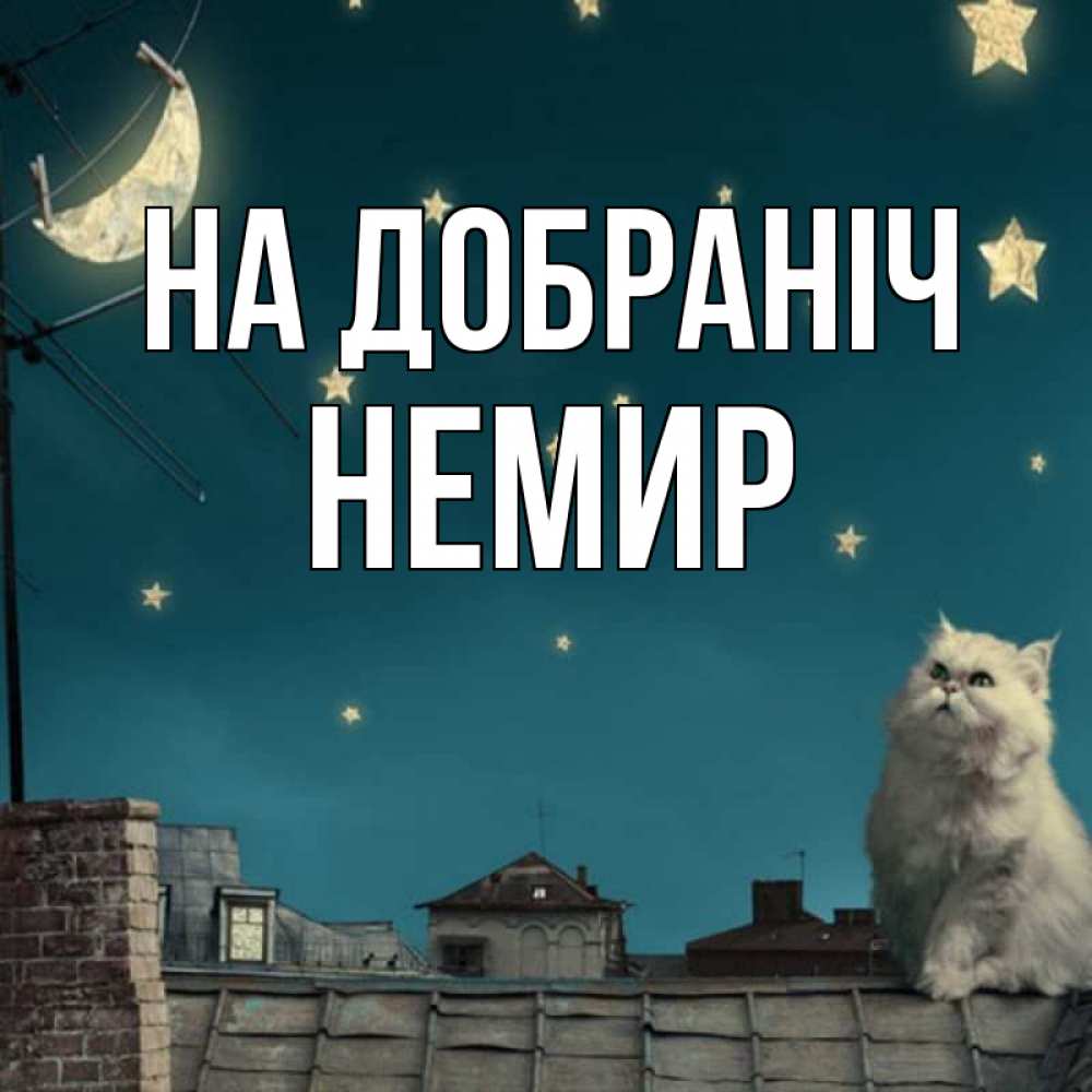 Открытка на каждый день з підписом, Немир На добраніч белый кот сидит на крыше Прикольна листівка з побажанням онлайн скачати безкоштовно 