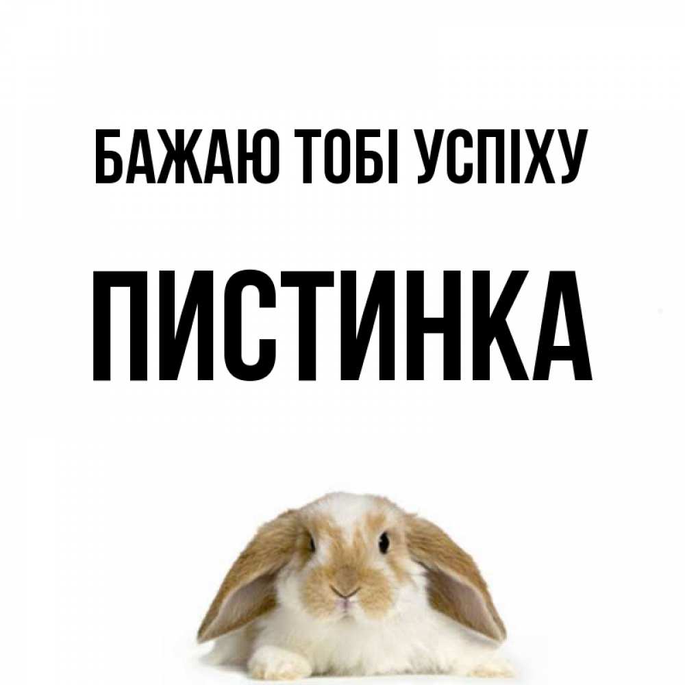 Открытка на каждый день з підписом, Пистинка Бажаю тобі успіху открытки с произвольным текстом который можно вставить в открытку и создать ее самостоятельно бесплатно онлайн Прикольна листівка з побажанням онлайн скачати безкоштовно 