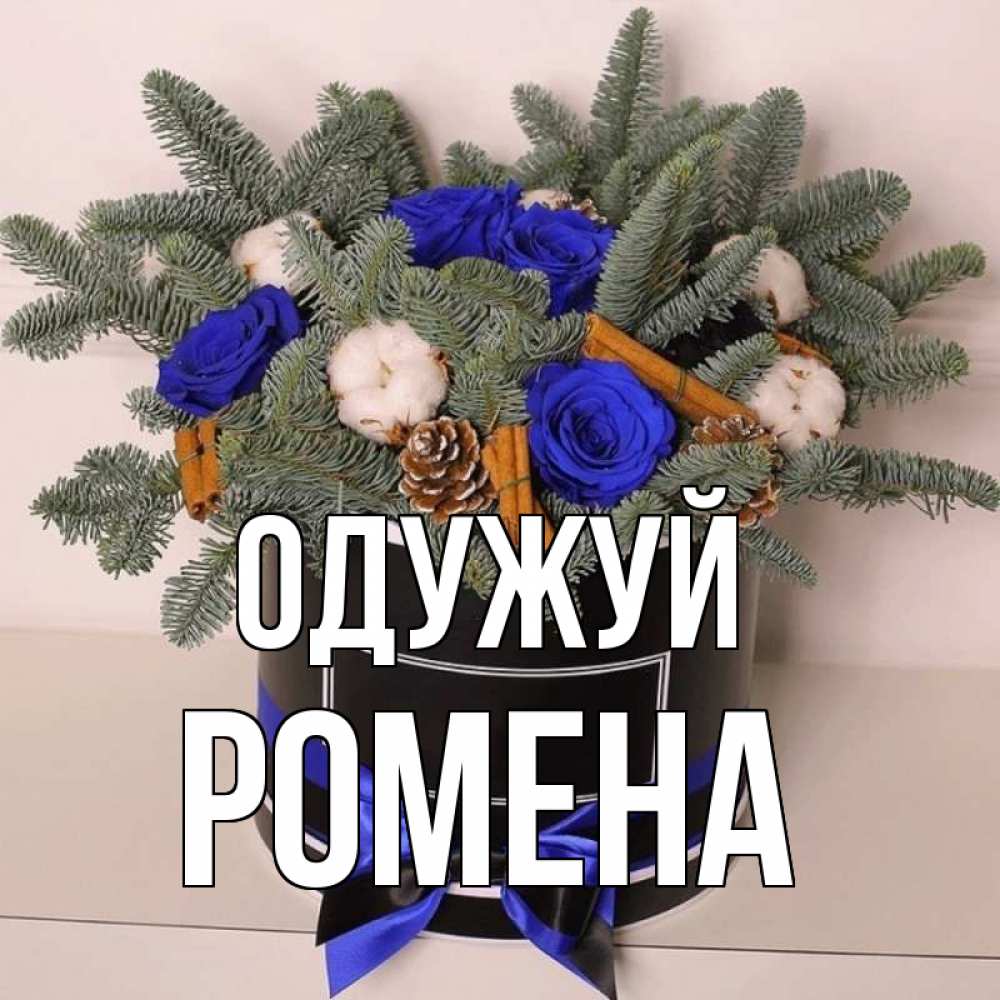 Открытка на каждый день з підписом, Ромена Одужуй короче кто то загрузил эти шишки Прикольна листівка з побажанням онлайн скачати безкоштовно 