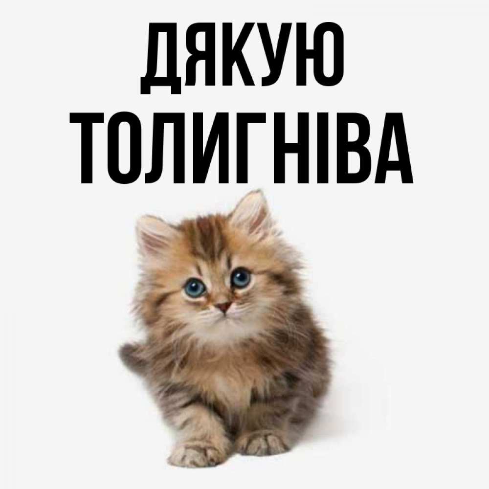 Открытка на каждый день з підписом, Толигніва Дякую пушистый котик Прикольна листівка з побажанням онлайн скачати безкоштовно 