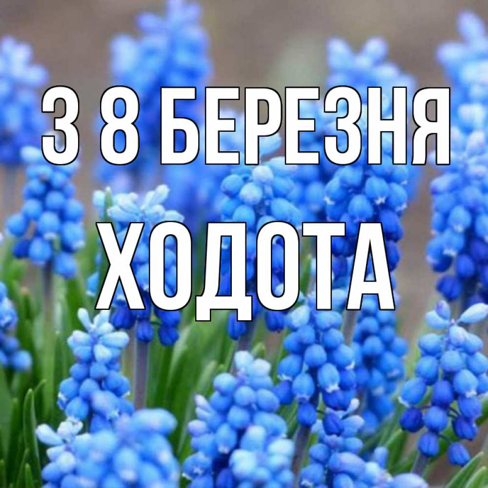 Открытка на каждый день з підписом, Ходота З 8 БЕРЕЗНЯ Поздравительная открытка для женщин с цветами на праздничную дату Прикольна листівка з побажанням онлайн скачати безкоштовно 