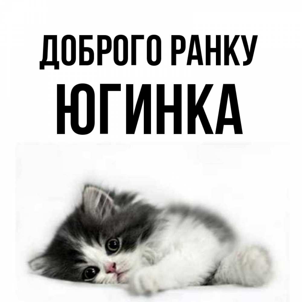 Открытка на каждый день з підписом, Югинка Доброго ранку кот лапки Прикольна листівка з побажанням онлайн скачати безкоштовно 
