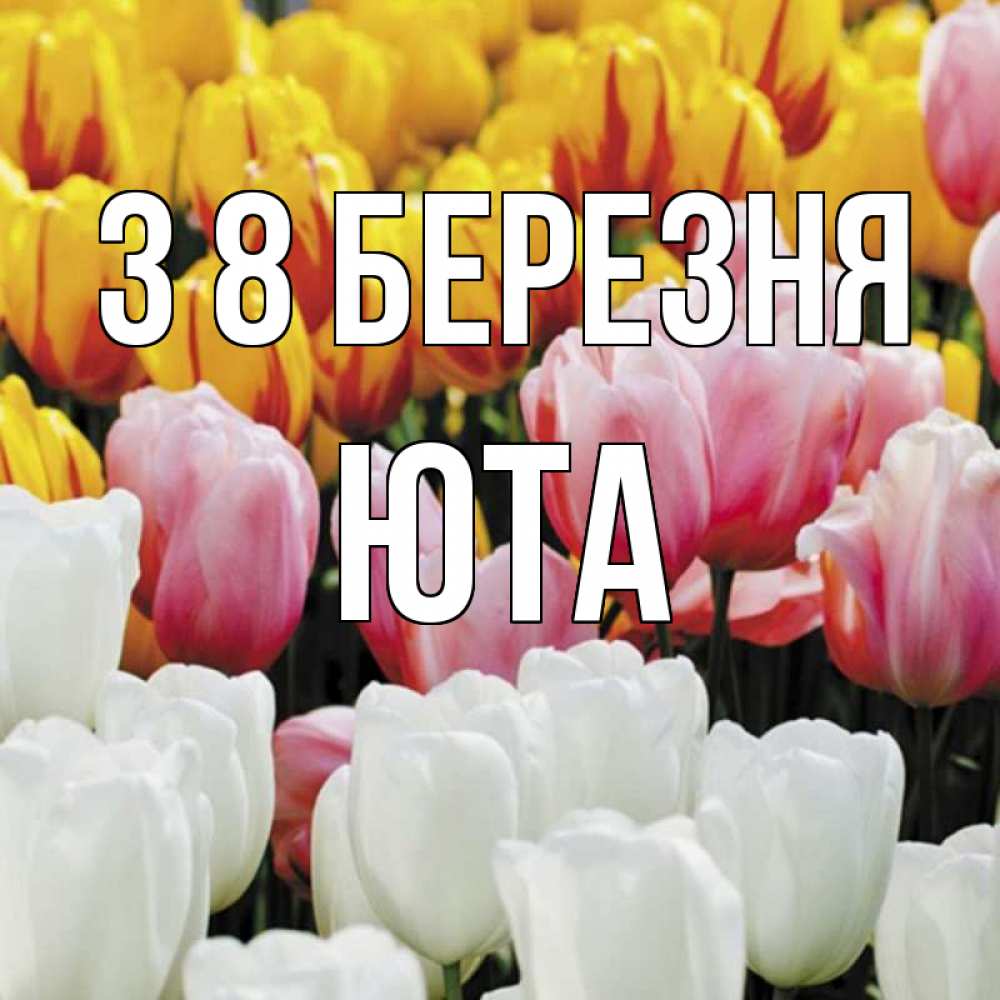 Открытка на каждый день з підписом, Юта З 8 БЕРЕЗНЯ разноцветные цветы Прикольна листівка з побажанням онлайн скачати безкоштовно 