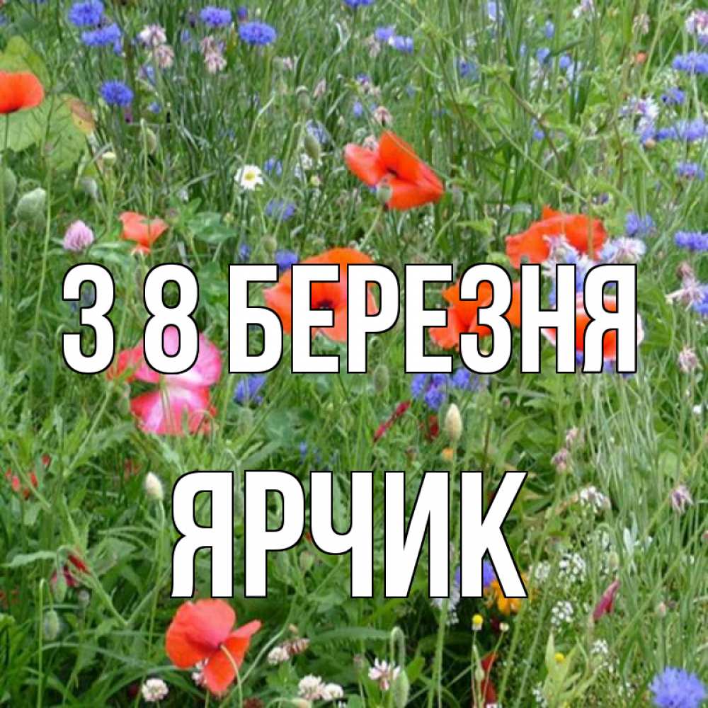 Открытка на каждый день з підписом, Ярчик З 8 БЕРЕЗНЯ международный женский день 4 Прикольна листівка з побажанням онлайн скачати безкоштовно 