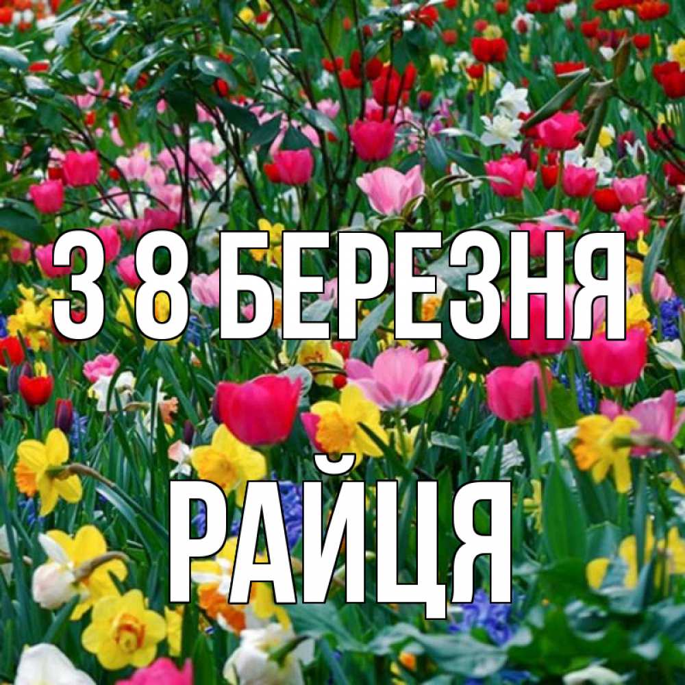 Открытка на каждый день з підписом, Райця З 8 БЕРЕЗНЯ с международным женским днем поздравления для женщины Прикольна листівка з побажанням онлайн скачати безкоштовно 