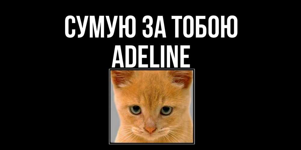 Открытка на каждый день з підписом, Adeline Сумую за тобою открытки рыжий котенок скучает по тебе Прикольна листівка з побажанням онлайн скачати безкоштовно 