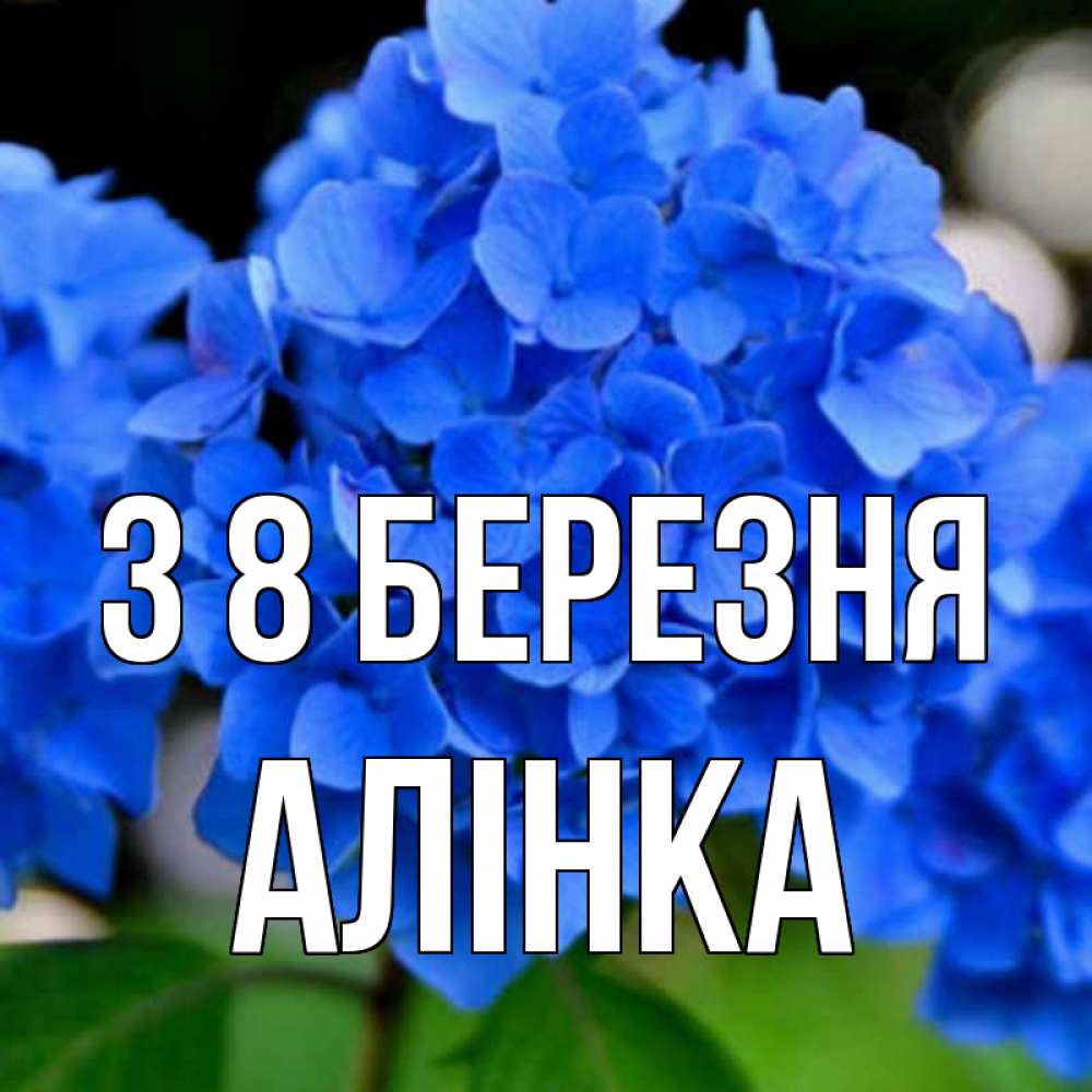 Открытка на каждый день з підписом, Алінка З 8 БЕРЕЗНЯ синие цветы Прикольна листівка з побажанням онлайн скачати безкоштовно 