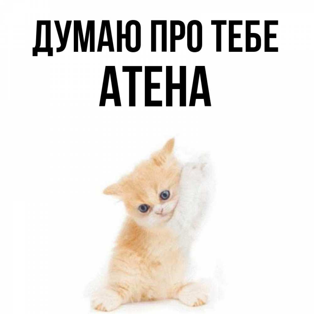 Открытка на каждый день з підписом, Атена Думаю про тебе зверушки и милота Прикольна листівка з побажанням онлайн скачати безкоштовно 