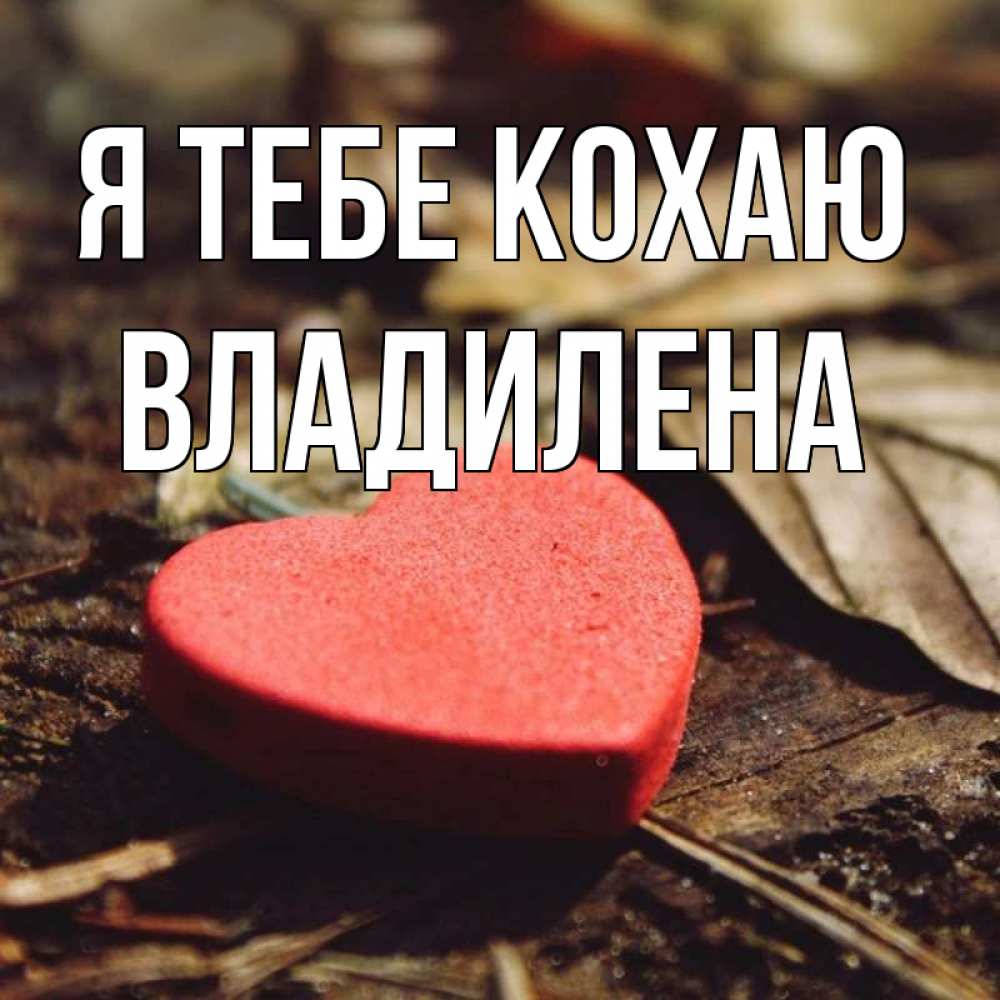 Открытка на каждый день з підписом, Владилена Я тебе кохаю листья деревье 4 Прикольна листівка з побажанням онлайн скачати безкоштовно 