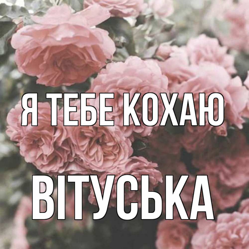 Открытка на каждый день з підписом, Вітуська Я тебе кохаю розы 3 Прикольна листівка з побажанням онлайн скачати безкоштовно 