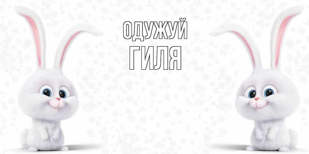 Открытка на каждый день з підписом, Гиля Одужуй не болей с зайцем Прикольна листівка з побажанням онлайн скачати безкоштовно 