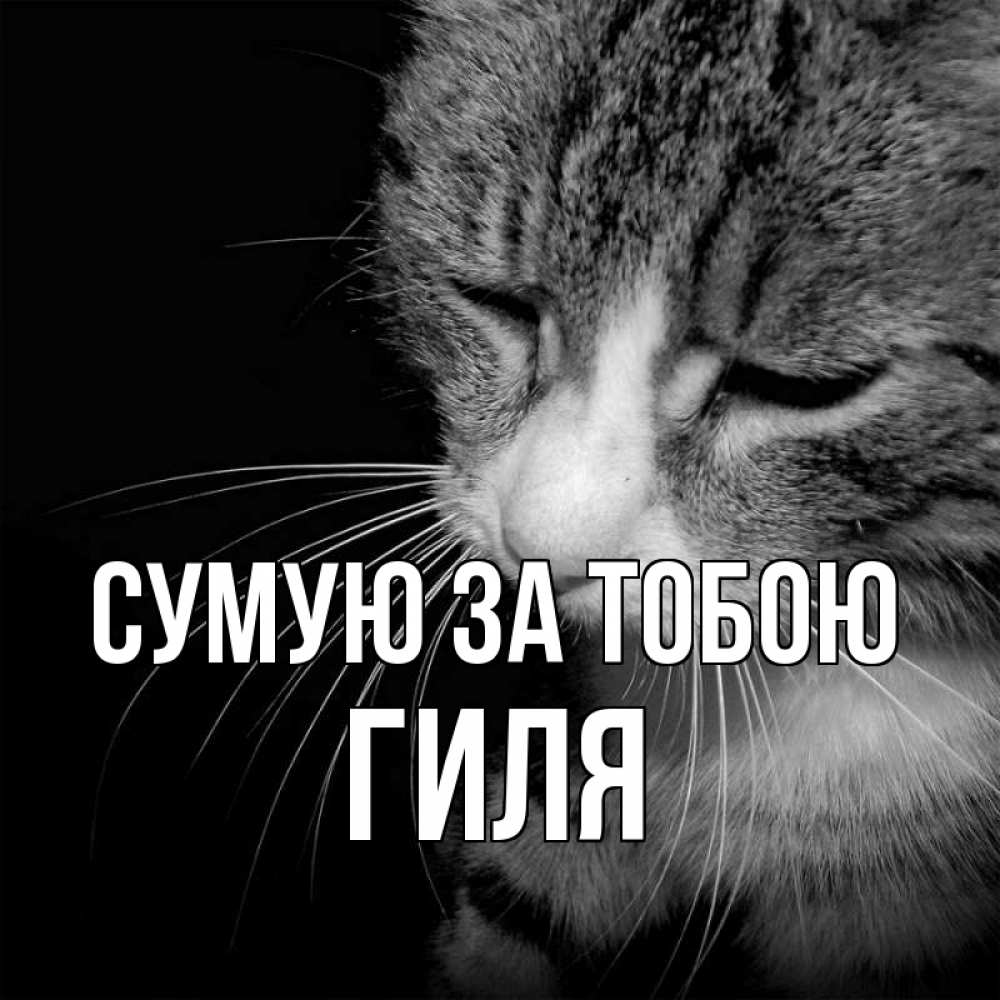 Открытка на каждый день з підписом, Гиля Сумую за тобою мне скучно Прикольна листівка з побажанням онлайн скачати безкоштовно 