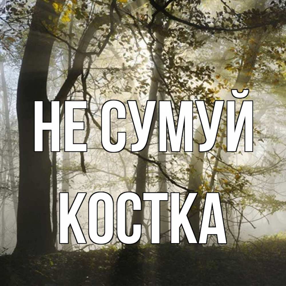 Открытка на каждый день з підписом, Костка Не сумуй лес и свет Прикольна листівка з побажанням онлайн скачати безкоштовно 