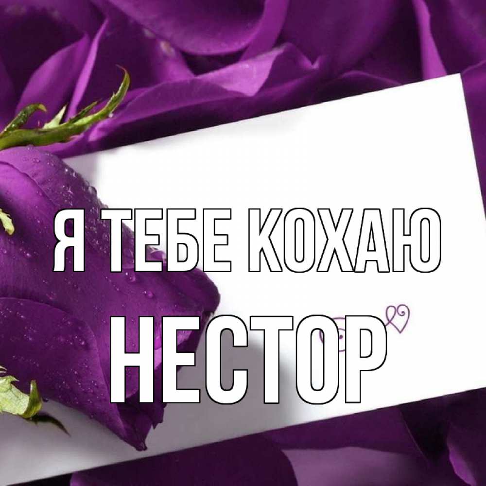 Открытка на каждый день з підписом, Нестор Я тебе кохаю роза Прикольна листівка з побажанням онлайн скачати безкоштовно 
