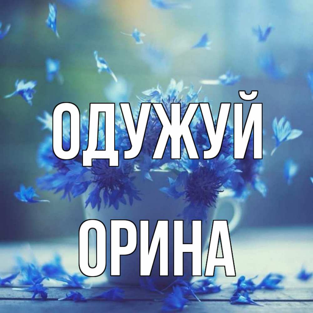 Открытка на каждый день з підписом, Орина Одужуй кружка с зельем и цветами Прикольна листівка з побажанням онлайн скачати безкоштовно 