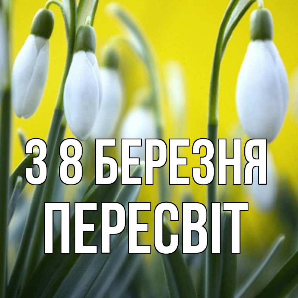 Открытка на каждый день з підписом, Пересвіт З 8 БЕРЕЗНЯ весенние цветы Прикольна листівка з побажанням онлайн скачати безкоштовно 