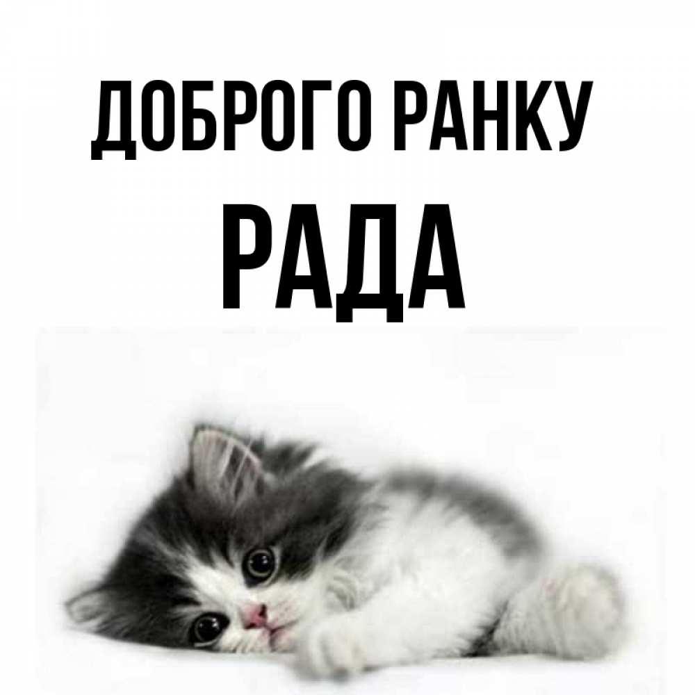 Открытка на каждый день з підписом, Рада Доброго ранку кот лапки Прикольна листівка з побажанням онлайн скачати безкоштовно 