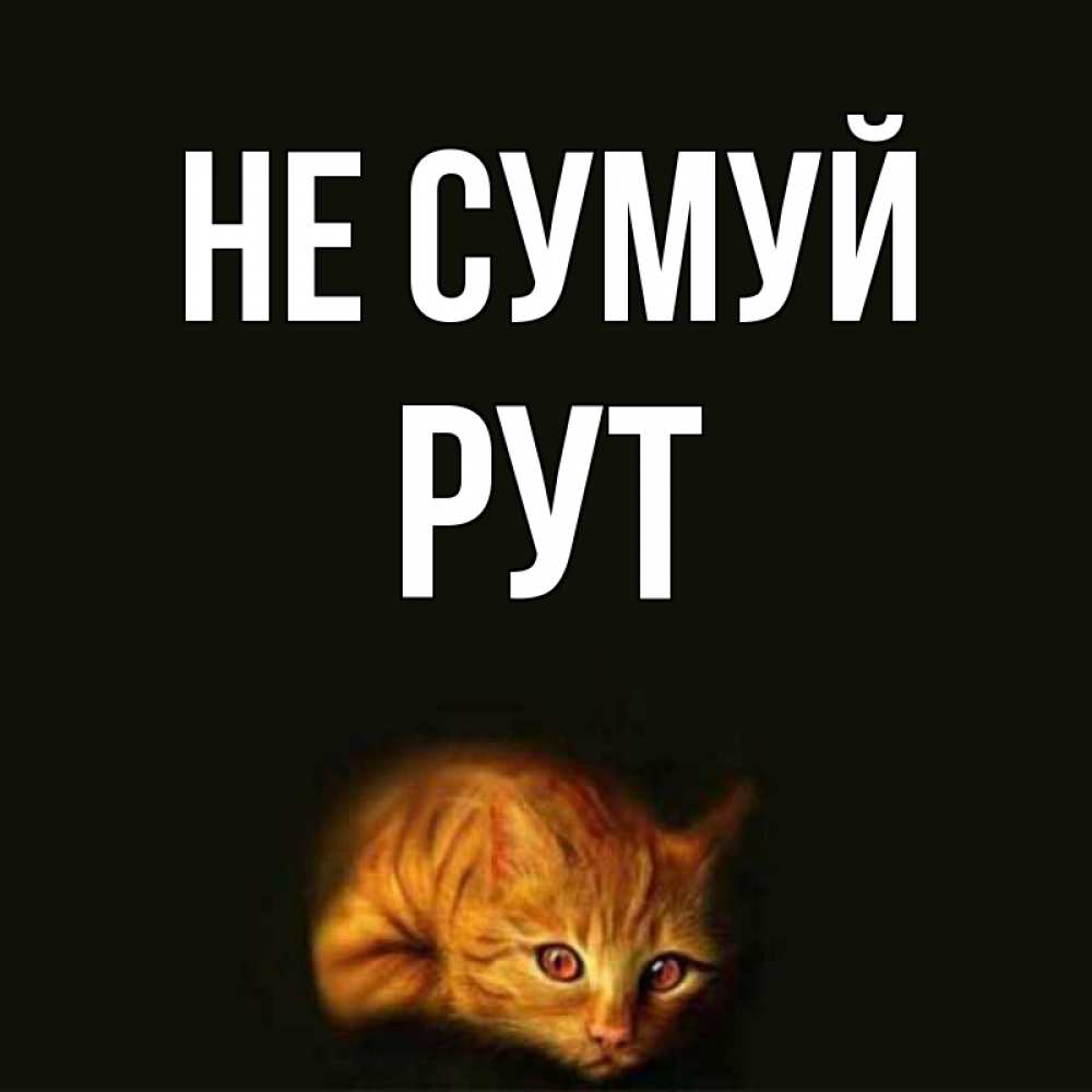 Открытка на каждый день з підписом, Рут Не сумуй лежащий кот в темноте Прикольна листівка з побажанням онлайн скачати безкоштовно 