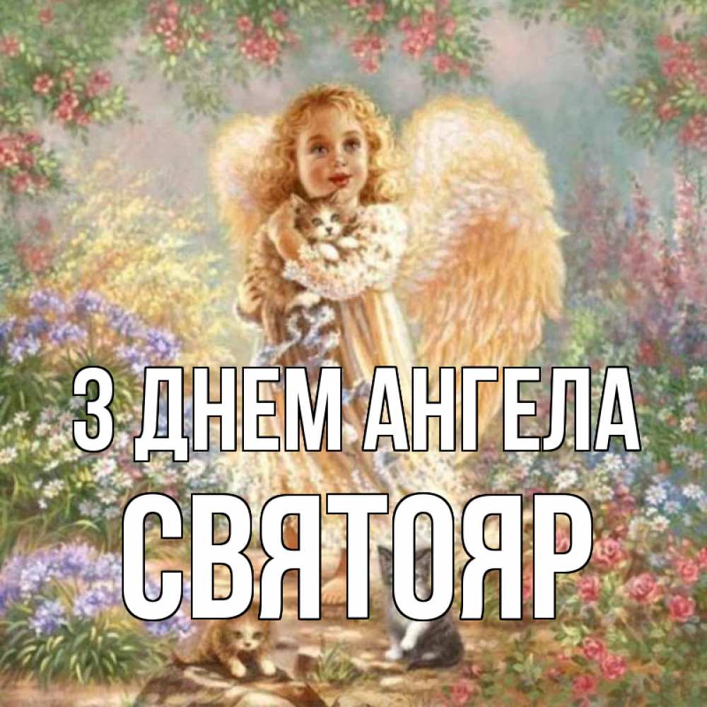Открытка на каждый день з підписом, Святояр З Днем ангела держит котенка Прикольна листівка з побажанням онлайн скачати безкоштовно 