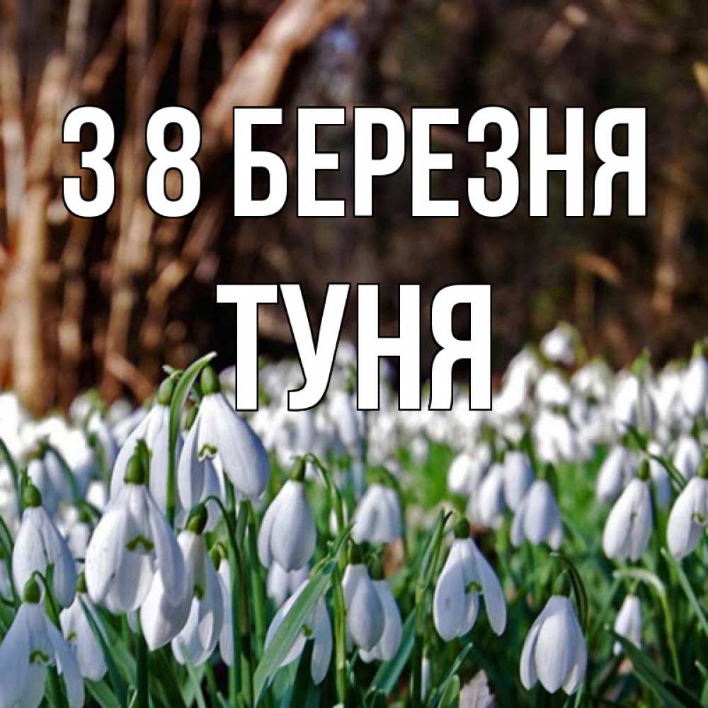 Открытка на каждый день з підписом, Туня З 8 БЕРЕЗНЯ с подснежниками 1 Прикольна листівка з побажанням онлайн скачати безкоштовно 