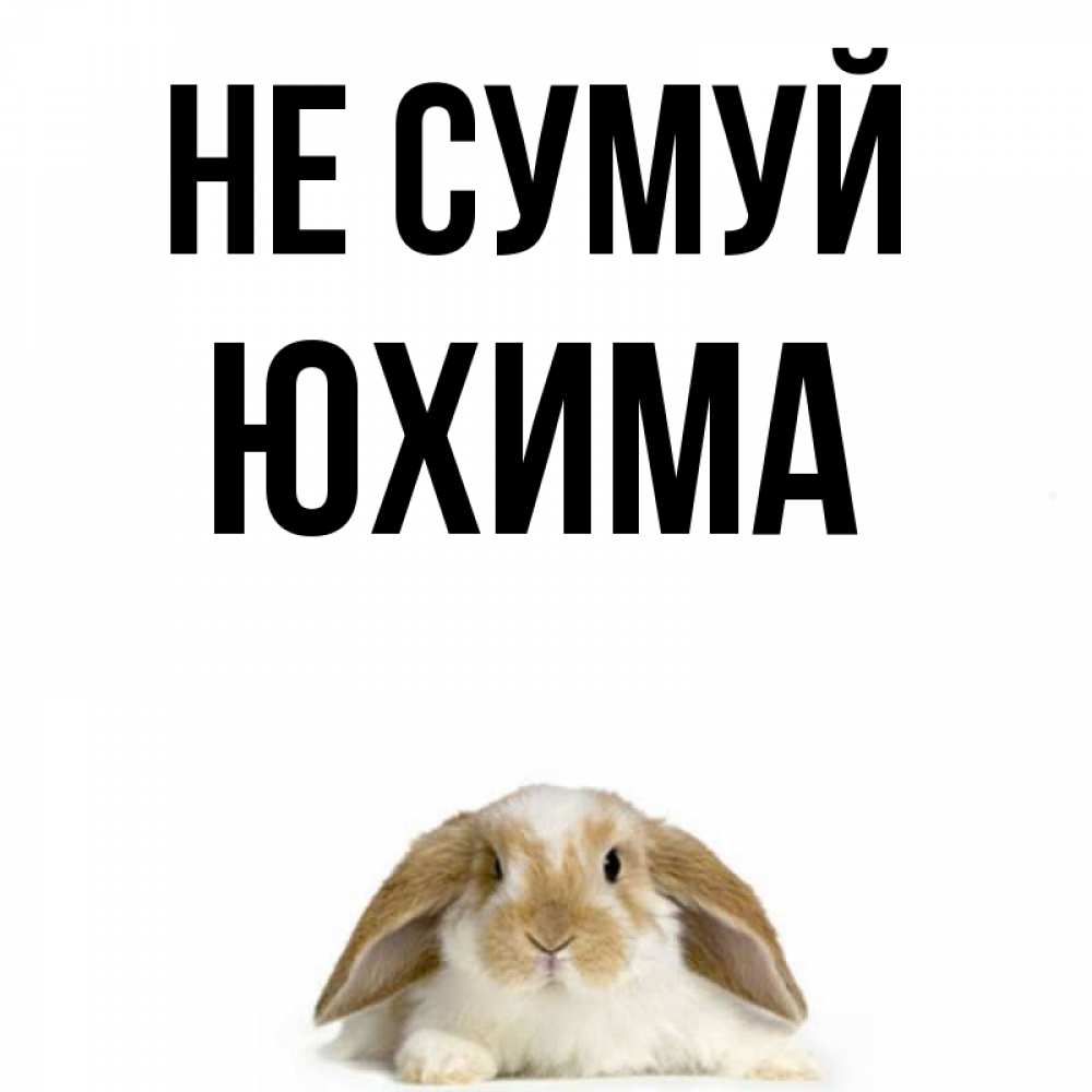 Открытка на каждый день з підписом, Юхима Не сумуй коричнево белый заяц с большими ушками Прикольна листівка з побажанням онлайн скачати безкоштовно 